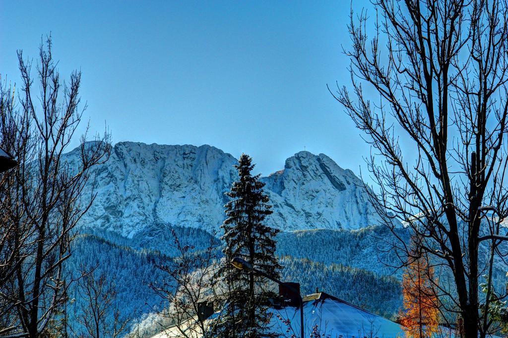 Pensjonat Sosnica Hotel Zakopane Exterior foto